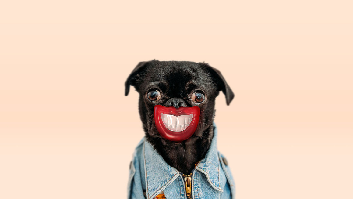 小狗图形设计-Moscow, Russian Federation-David Hovhannisyan (1).jpg