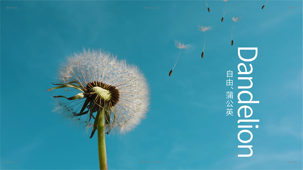 Libreathe自享呼吸卫生巾包装设计 X 张晓宁