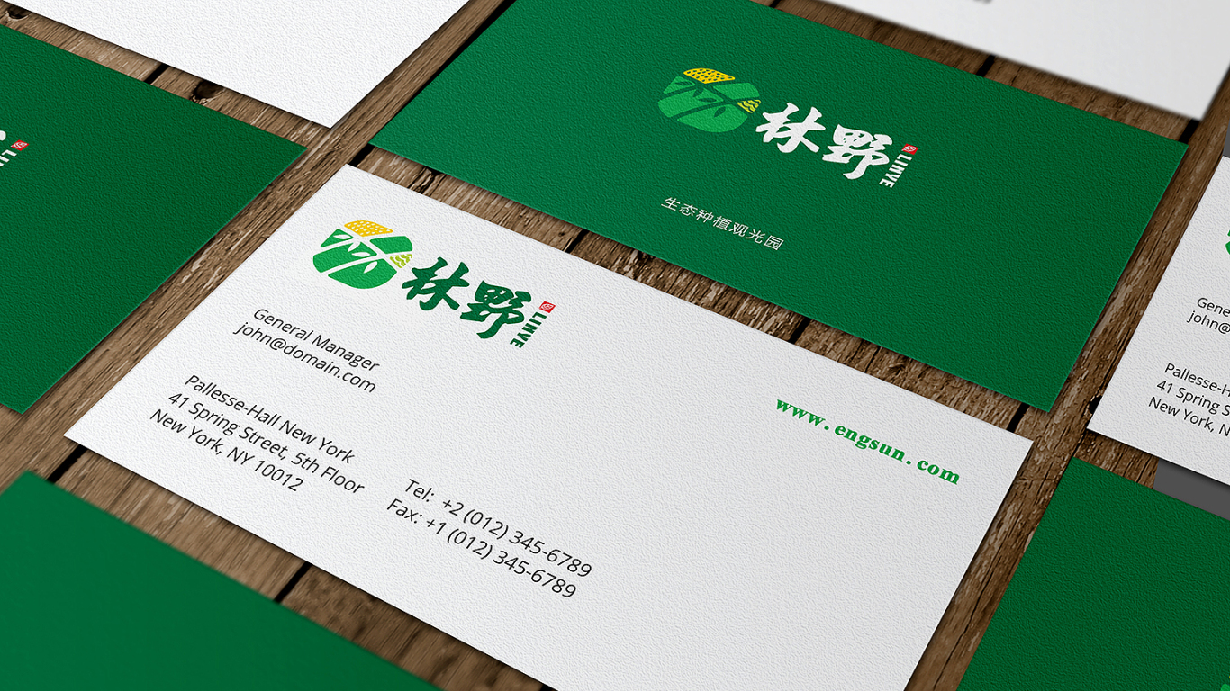 林野生态种植观光园公司LOGO设计中标图6