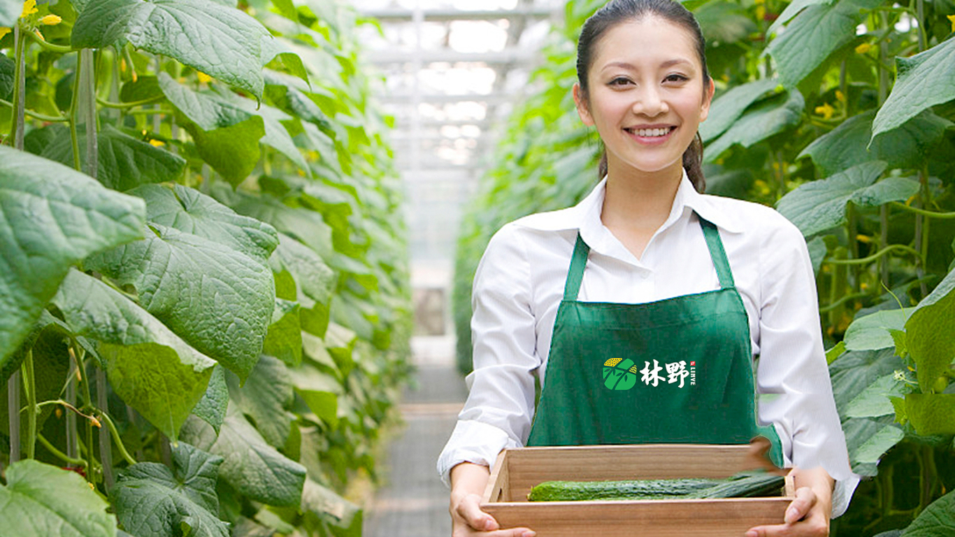 林野生态种植观光园公司LOGO设计中标图7